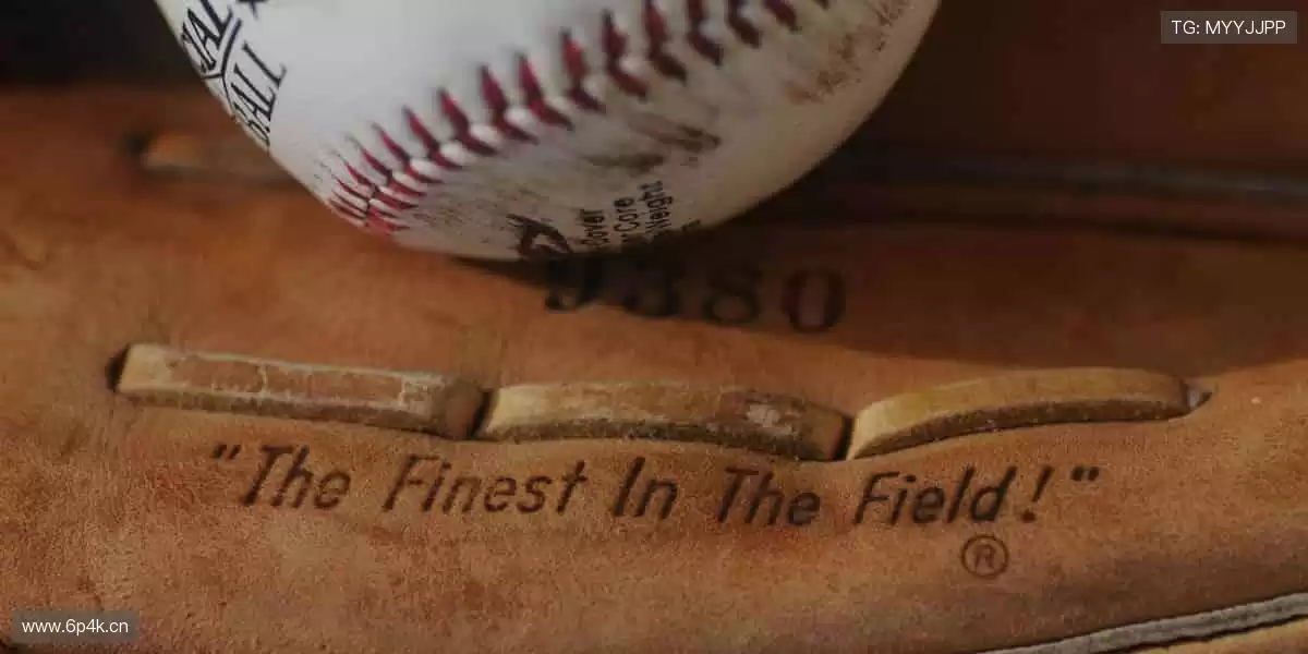 🎉 冠军之路，与你同在，